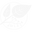 Bendita Cânfora logo